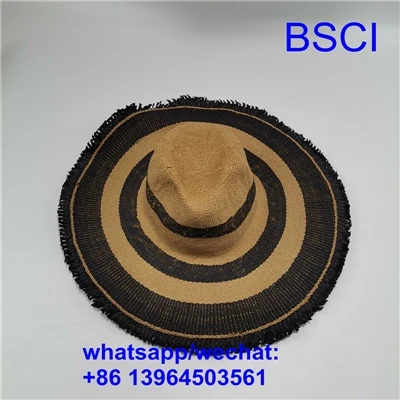 सनशेड टोपी क्या है
